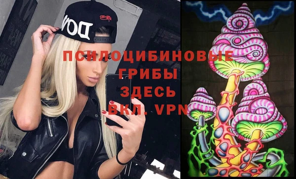 крисы Алексеевка
