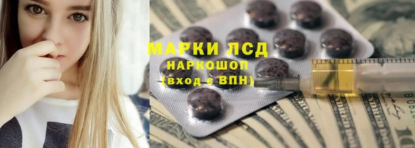 дмт Алзамай