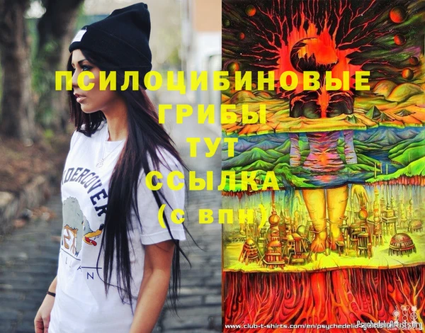 дмт Алзамай