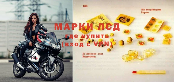 дмт Алзамай