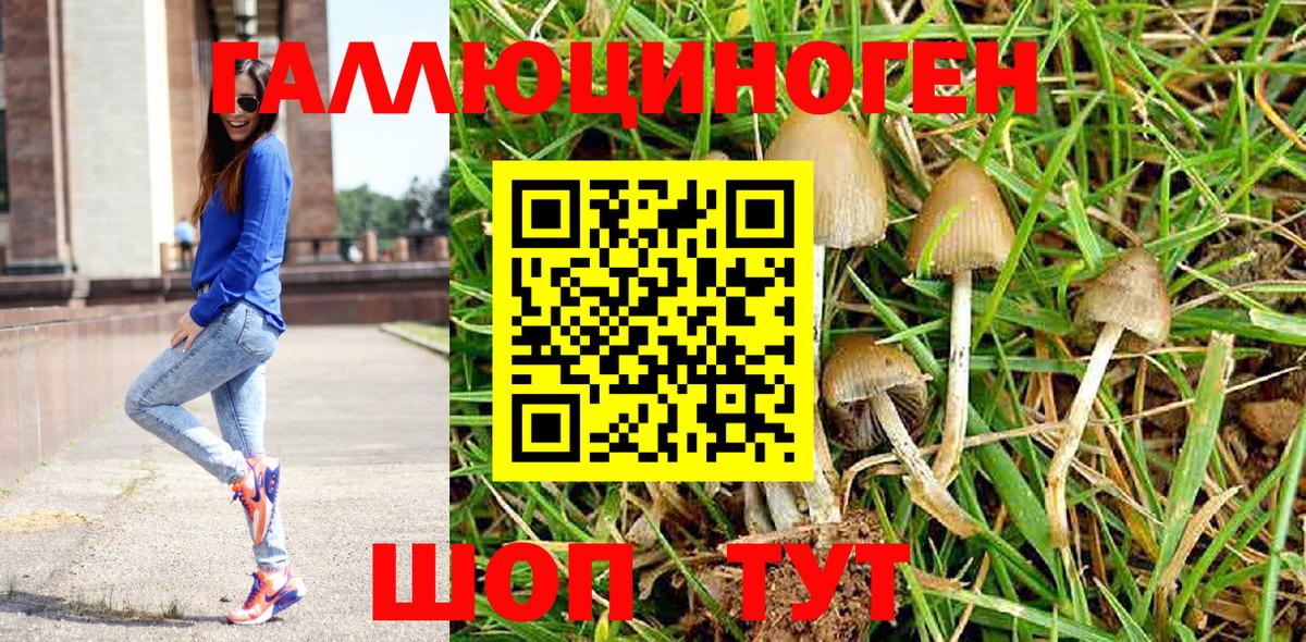 купить   Вход с VPN  Алексеевка  Псилоцибиновые грибы ЛСД 